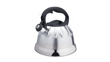 Stainless Steel mirror design teapot FH-474A
