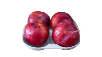 Pulp Fiber Berry Baskets for Fruit1