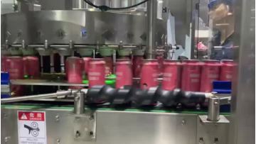 Filling and Sealing machine