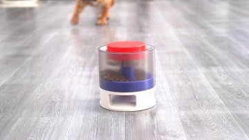 round feeder for dog