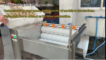 Potato washing peeling machine ginger peeling machine