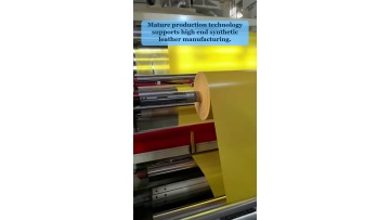 Video 19
