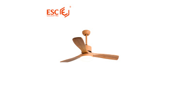 Ceiling fans with bright lights