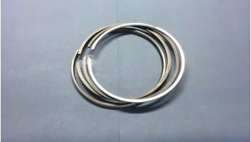 piston ring
