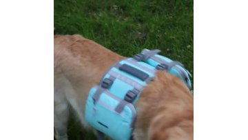 pet portable outdoor bag 