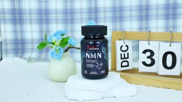 NMN Capsules Anging NAD Levels