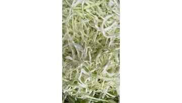 ST-S301 Cabbage Cutting Machine
