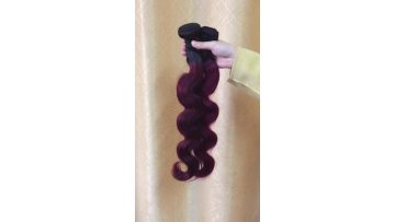 Cheap Price Raw Indian Hair Weave Color 1b/99j Hair Extensions Raw Virgin Human Hair Bundles With Closure1