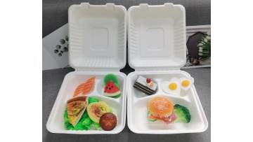 Biodegradable Sugarcane 8inch 3-compartment Container