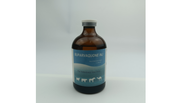 Bupivaquinone Injection