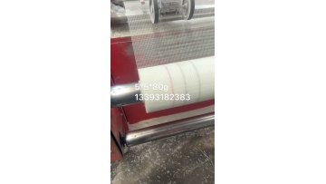 Fiberglass Netting/ Window Screen Mesh Prevent Mosquitoes 18X16 14X141