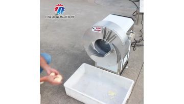 TS-Q100 Automatic Electric Potato Shredder for Commercial Use