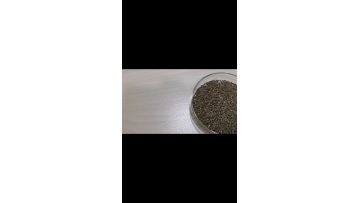 perilla seeds in english