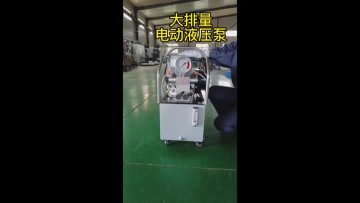 11L double acting electric pump