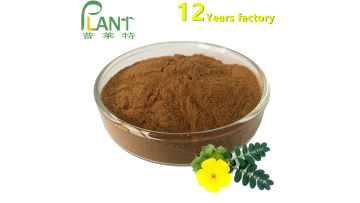 tribulus terrestris extract powder saponin