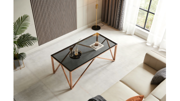TL-AS72G Elegant Modern Coffee Table with Glass and Stainless Steel Design