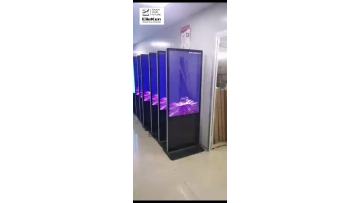 floor standing screen display