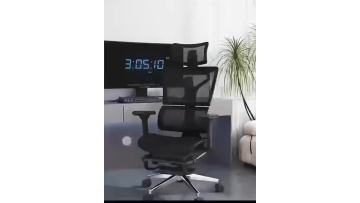 Mesh Chair TD-JYG22G -Toda Chair since 1987