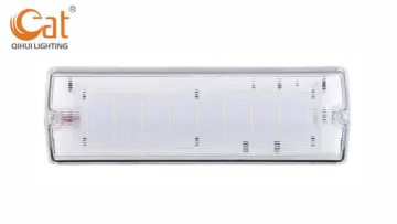Emergency Bulkhead Light