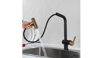 Kitchen faucet
