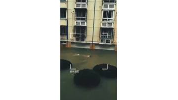 normal video2222