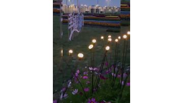 Firefly Farden Lights