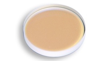 Fiber protective Lens
