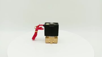 VX2120 Solenoid Valve