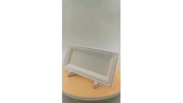 bagasse Rectangle food plate