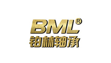 Ningbo Bolin Bearing Co., Ltd.