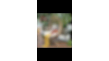 WeChat_20260424153829~2