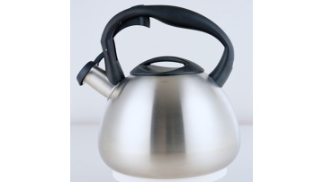 FH-538 whistling sound water kettle