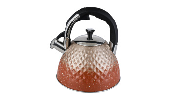 Stainless Steel Orange Household Stove-Top Kettle FH-693O