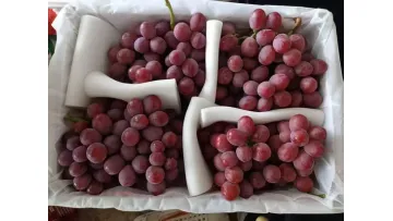 Delicious Fresh Grape From China1