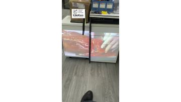 Elevator Advertisement Projection Switch