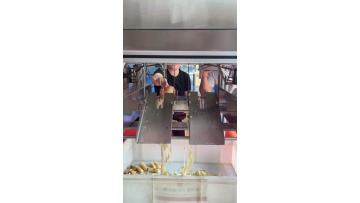Apple peeling and coring machine Pear Peeler