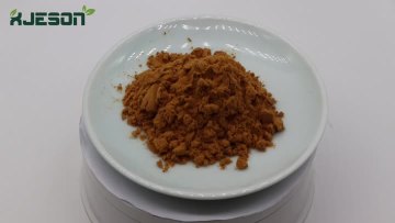 Chitosan Powder