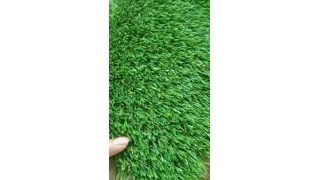 Artifical grass1