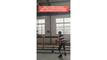 Video 10