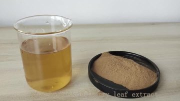 Mulberry Leaf extract