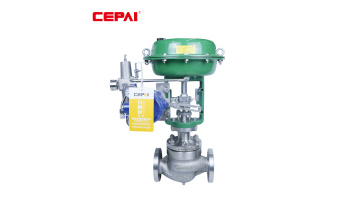 Single seat control valve