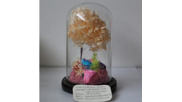 Venus Et Fleur Real Rose Leaves for Home-Decoration1