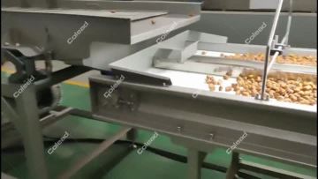 Selection conveyor