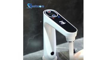 2 in 1 Soap and Washing Faucet