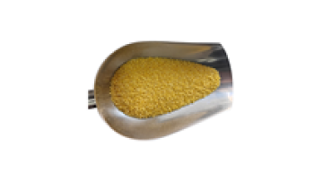 Wholesale Premium Chinese Millet: A Nutritious Treasure for the World1