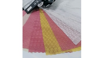 eyelet swiss embroidery fabric polyester reps dress fabric embroidered chiffon fabric1