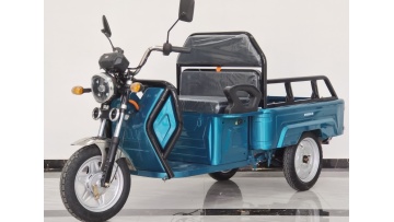 Flat Panel Electric Tricycle
