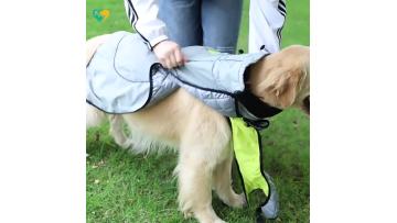 dog jacket large