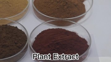 Top Quality Licorice Root Extract Powder Pure Powder Dipotassium Glycyrrhizinate1