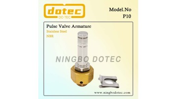 P10 armature